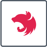 nest-js